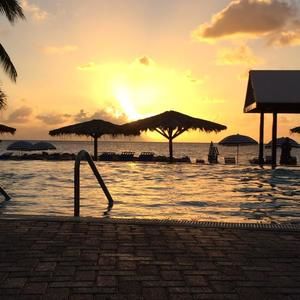 Meet your Posher, Nicky